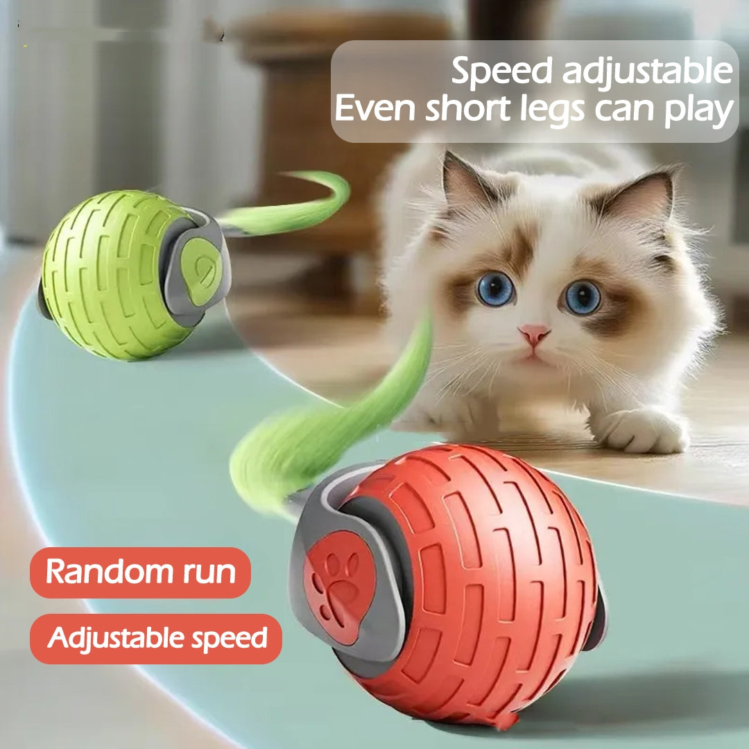 Smart Interactive Cat Toy Ball – Auto Rolling USB Rechargeable Cat Toy for Indoor Cats