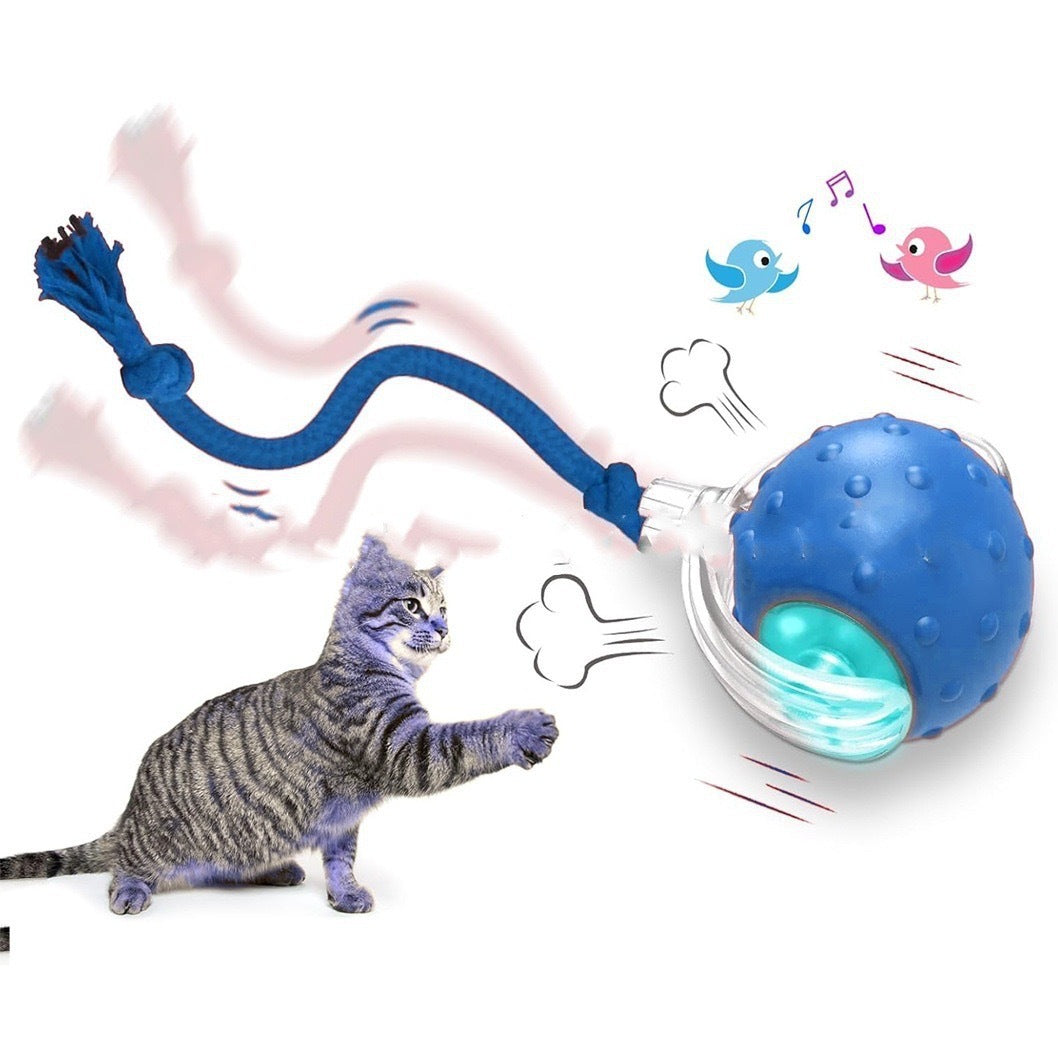 Smart Auto Rolling Cat Ball – 3 Play Modes & Motion Activated