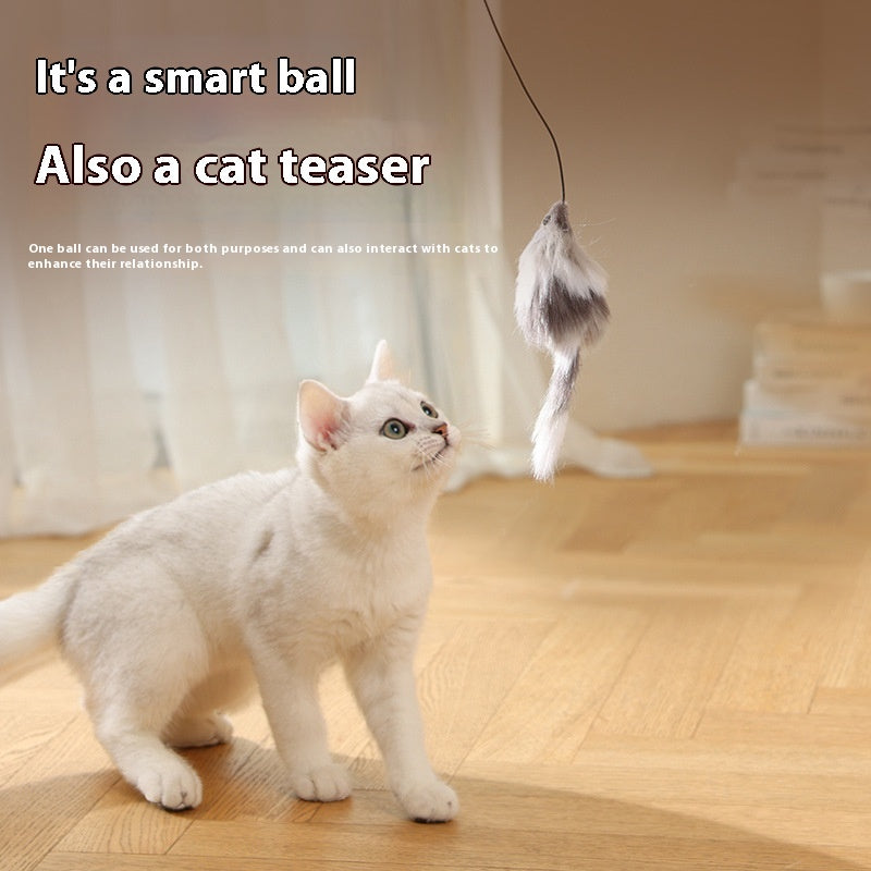 Automatic Rolling Mouse Teaser Ball for Cats & Dogs | Fun Cat Supplies for Play & Exercise
