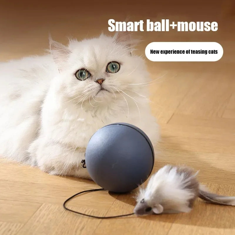 Automatic Rolling Mouse Teaser Ball for Cats & Dogs | Fun Cat Supplies for Play & Exercise
