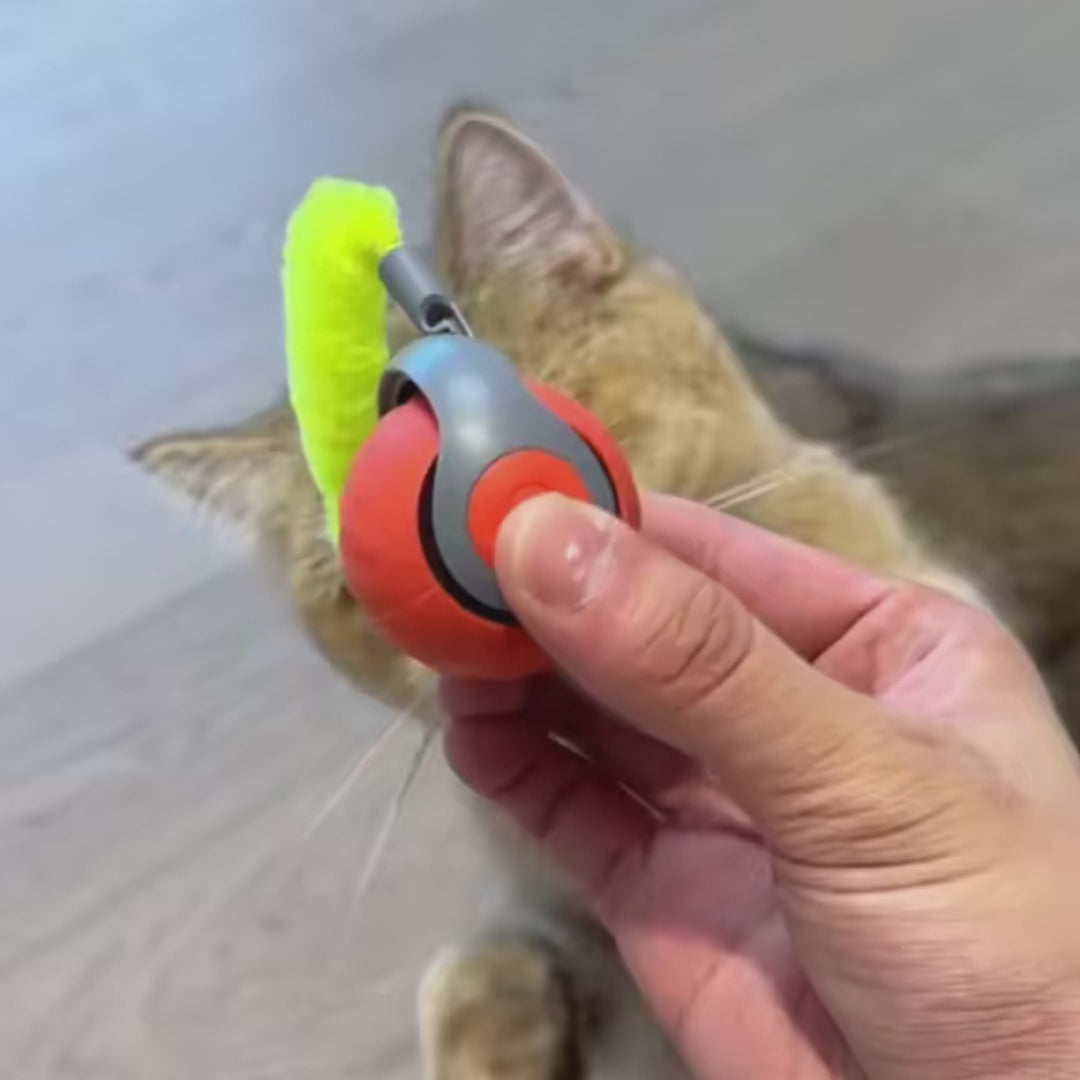Smart Interactive Cat Toy Ball – Auto Rolling USB Rechargeable Cat Toy for Indoor Cats