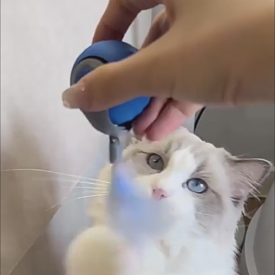 Smart Interactive Cat Toy Ball – Auto Rolling USB Rechargeable Cat Toy for Indoor Cats