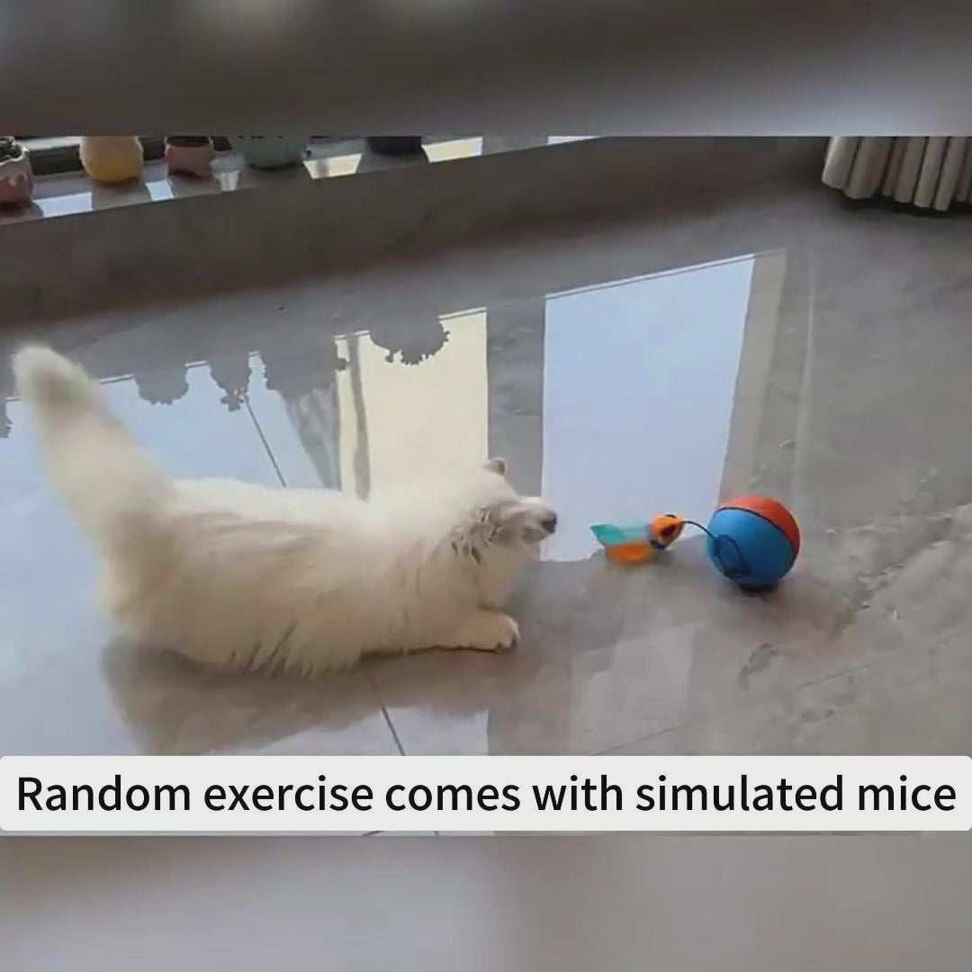Automatic Rolling Mouse Teaser Ball for Cats & Dogs | Fun Cat Supplies for Play & Exercise
